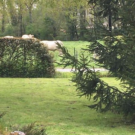 Cottage De Charme A La Campagne Aulnoy المظهر الخارجي الصورة