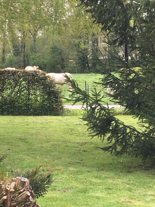 Cottage De Charme A La Campagne Aulnoy المظهر الخارجي الصورة