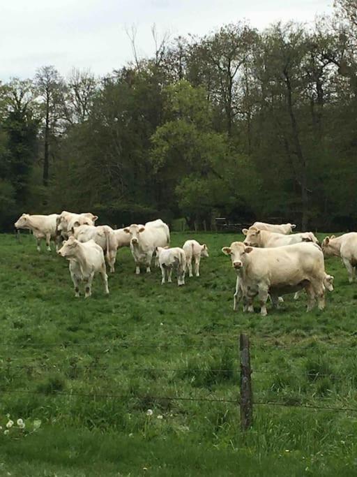 Cottage De Charme A La Campagne Aulnoy المظهر الخارجي الصورة